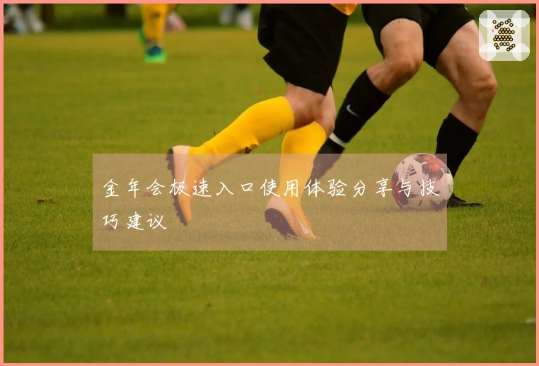 金年会极速入口使用体验分享与技巧建议