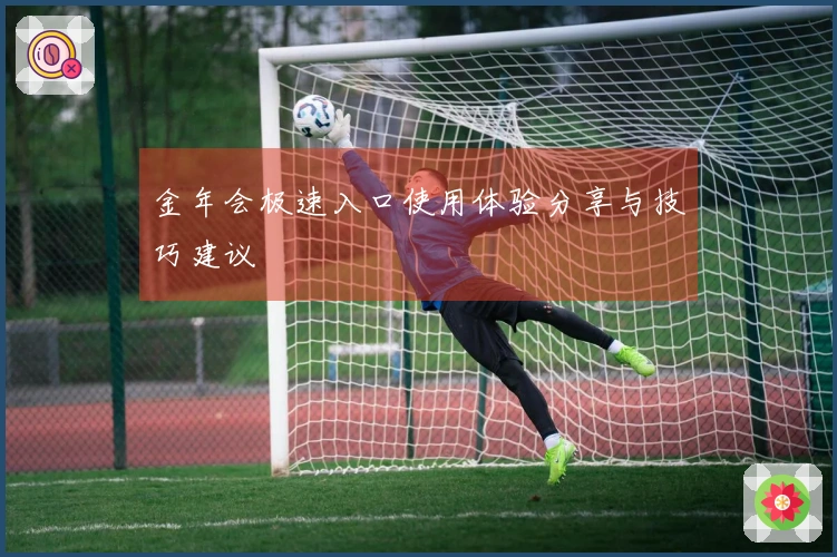 金年会极速入口使用体验分享与技巧建议