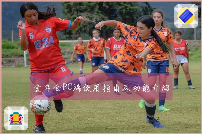 金年会PC端使用指南及功能介绍